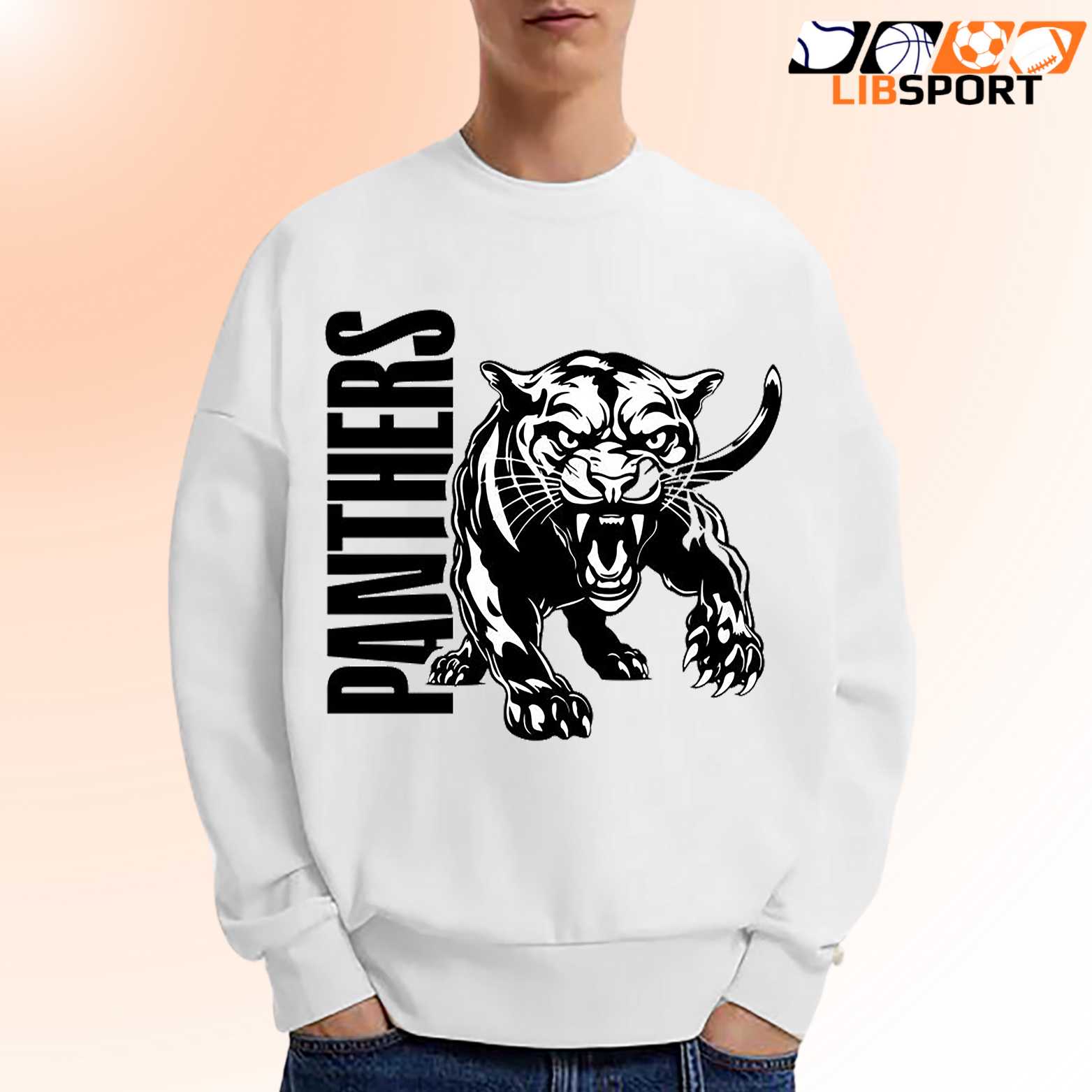 Carolina Panthers Tee, Unisex Shirt, Vintage Nfl T Shirt